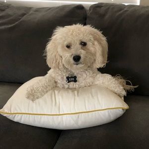 Meet your Posher, Stacey